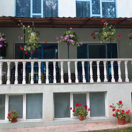 Hotel Casa Albastra Drumu Carului Esterno foto