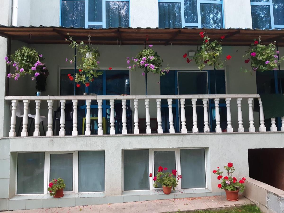 Hotel Casa Albastra Drumu Carului Esterno foto